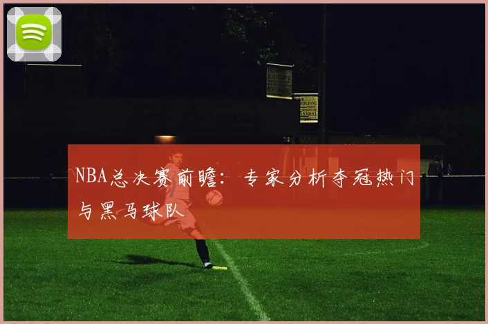 NBA总决赛前瞻：专家分析夺冠热门与黑马球队