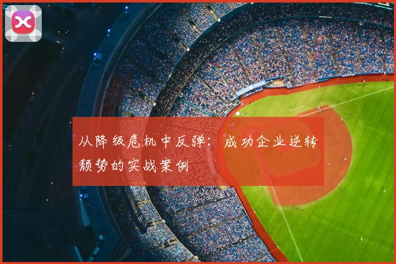 从降级危机中反弹：成功企业逆转颓势的实战案例