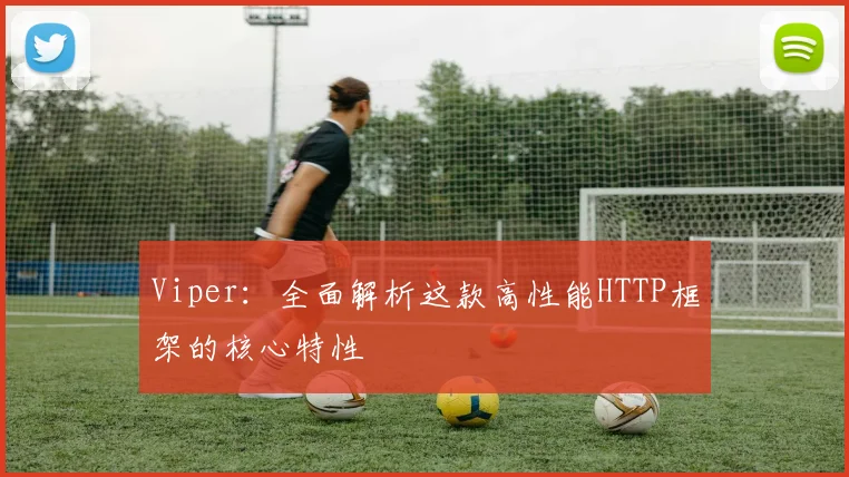 Viper:全面解析这款高性能HTTP框架的核心特性