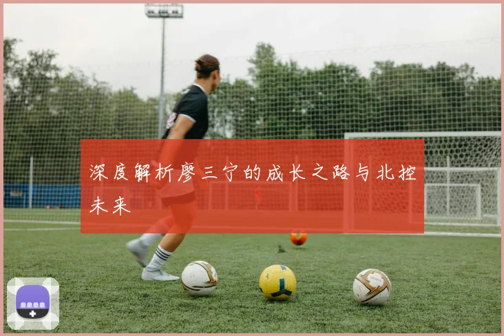 深度解析廖三宁的成长之路与北控未来